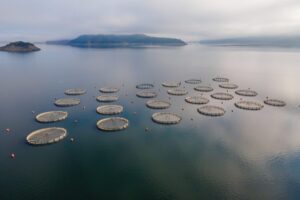 Fish farming cages open net pens