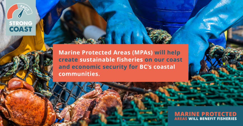 A graphic explaining that Marine Protected Areas will create sustainable fisheries for British Columbia's coastal communities