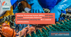 A graphic explaining that Marine Protected Areas will create sustainable fisheries for British Columbia's coastal communities