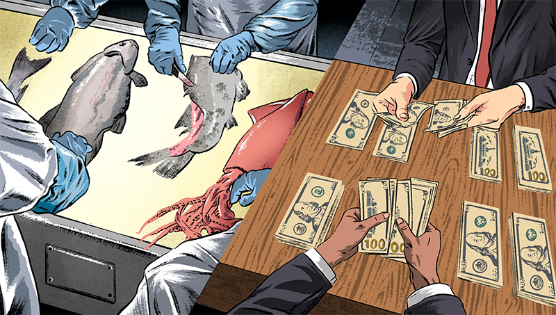 A cartoon image of people organizing money on the right, and cleaning fish on the left