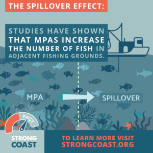A graphic explaining the spillover effect