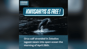 A graphic with the title "KWIISAHI?IS IS FREE"