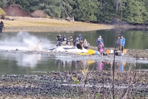 A dead orca at a lagoon