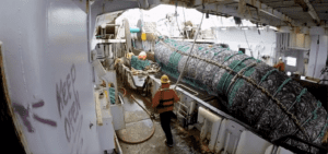 Trawler catch