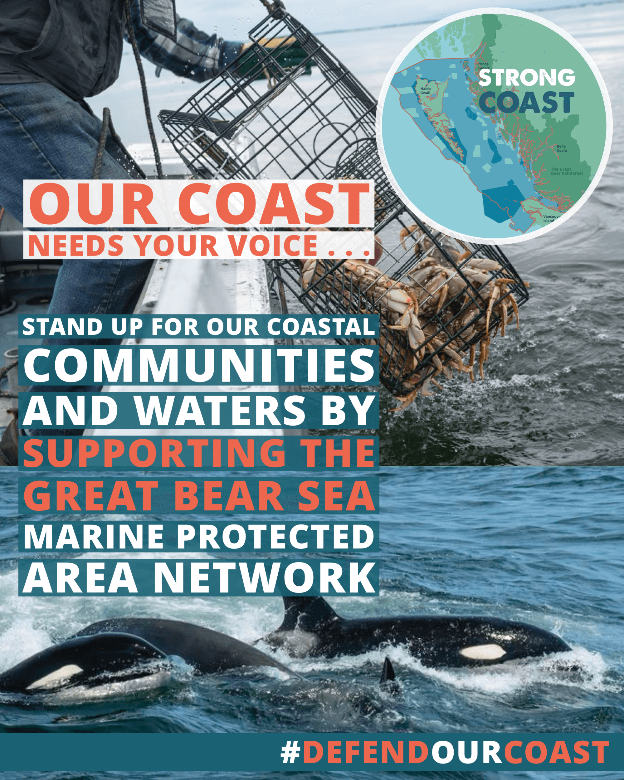 A graphic with a callout to support the Great Bear Sea and Marine Protected Area Network
