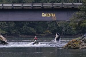 Rescuers in a boat next to Brave Little Hunter as she breaches under the Zeballos causeway