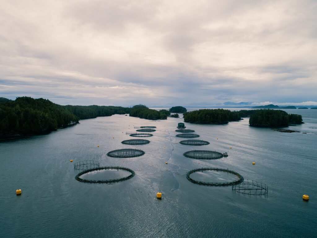 An aerial view of an open-net pen fish farm owned by Mowi Canada West in BC.